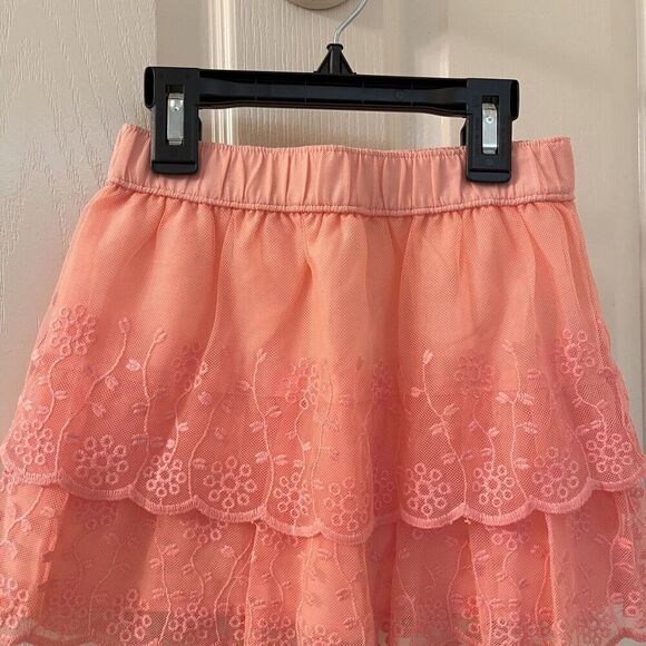 Carter's Pink Eyelet Embroidered Tulle Lace Skirt Scalloped Girls Size 4t NWT - Picture 2 of 9